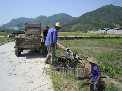 黄南州人口_黄南藏族自治州的人口民族(2)