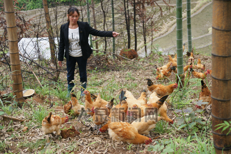 ģʽΪũҵֳ̬߳һ·